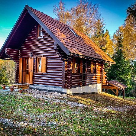 Pine Lodge Hlevci 外观 照片