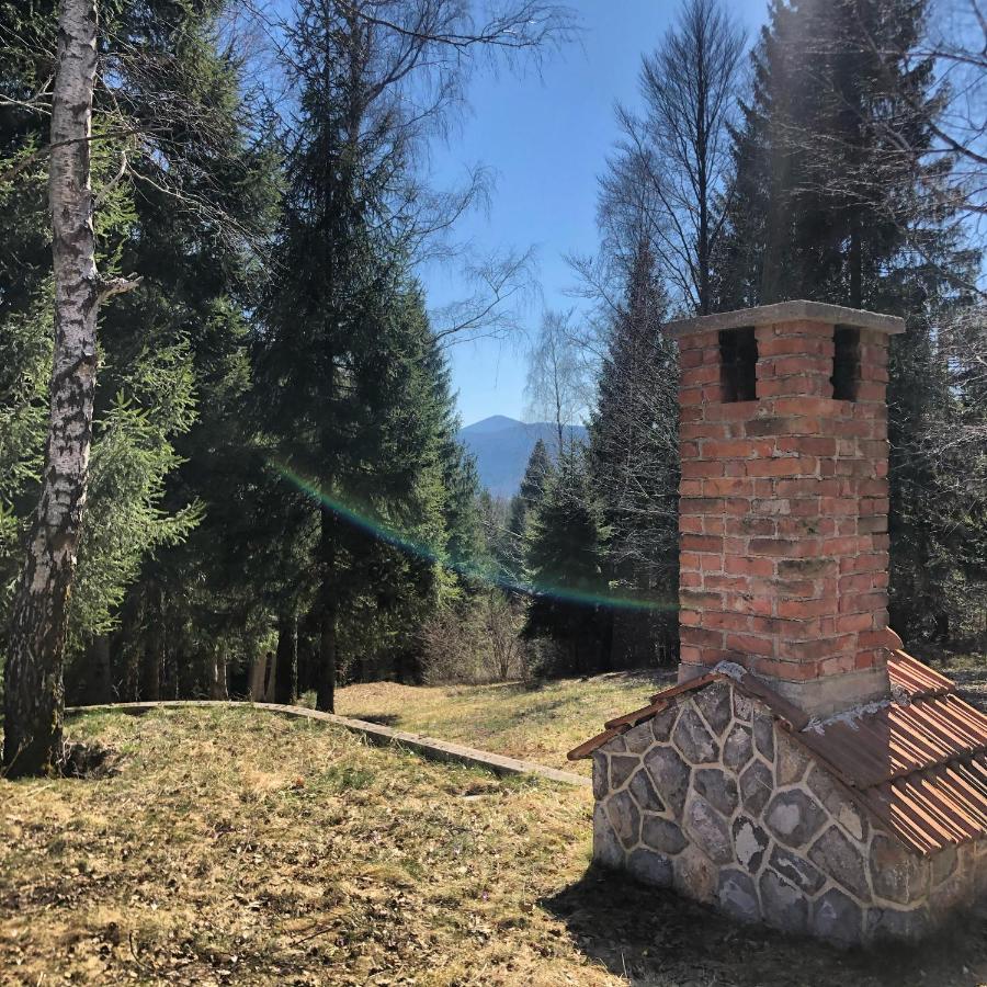 Pine Lodge Hlevci 外观 照片