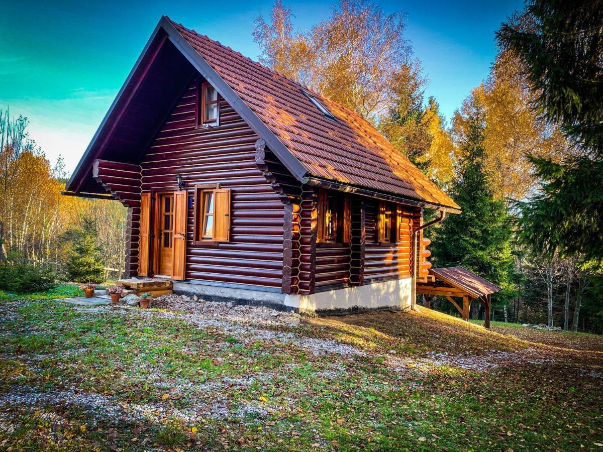 Pine Lodge Hlevci 外观 照片