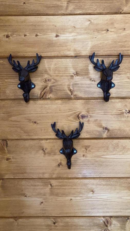 Pine Lodge Hlevci 外观 照片